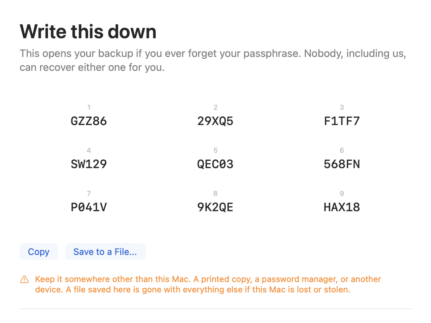 Copy Shelter showing the nine-block recovery key, with Copy and Save to a File.